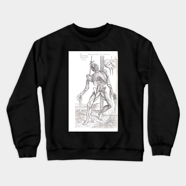 Anatomical skeleton Illustration from De humani corporis fabrica libri septem by Andreas Vesalius published circa 1543 (cleaned to remove bleed thru text) Crewneck Sweatshirt by artfromthepast